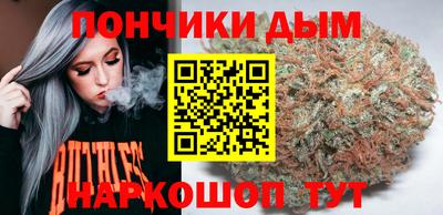 гидра Кингисепп