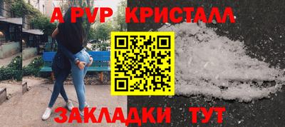 гидра Кингисепп