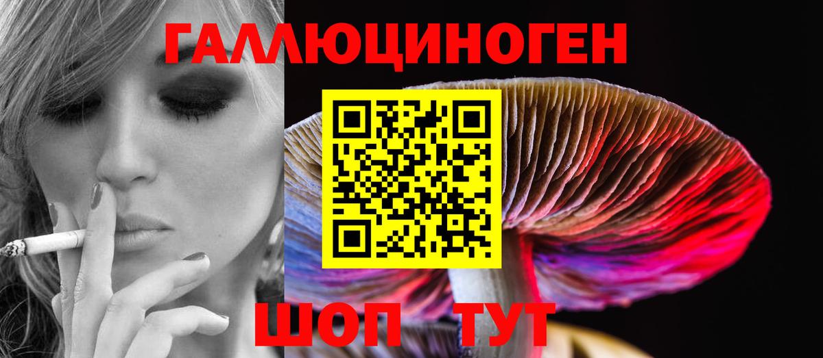 Галлюциногенные грибы прущие грибы Клинцы